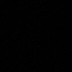 Meet your Posher, Noah